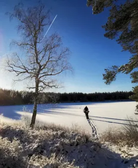 Image illustrating Snötäckt Sjö