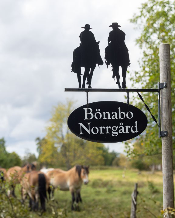 Bild som illustrerar Bönabo Norrgård LU