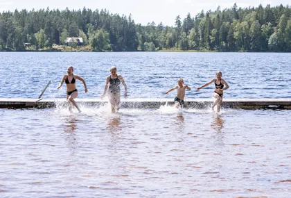 Take a swim in one of our 388 lakes