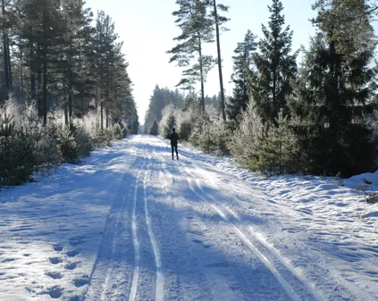Bild som illustrerar Vinter Längdskidor (45)