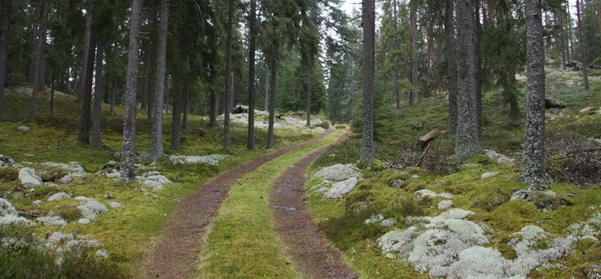 Image illustrating Glorjekalla 1
