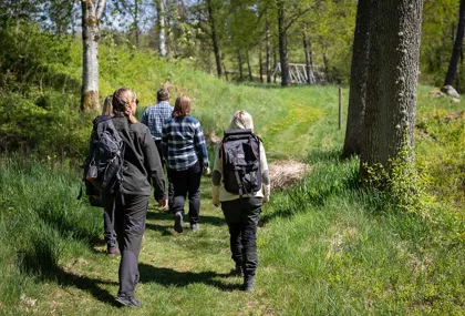 Natur och friluftsliv i Isabergsregionen