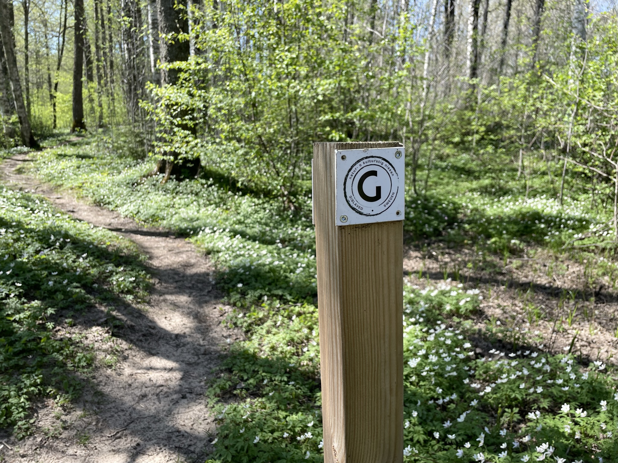 Bild som illustrerar Naturstig Nissan Vår (30)