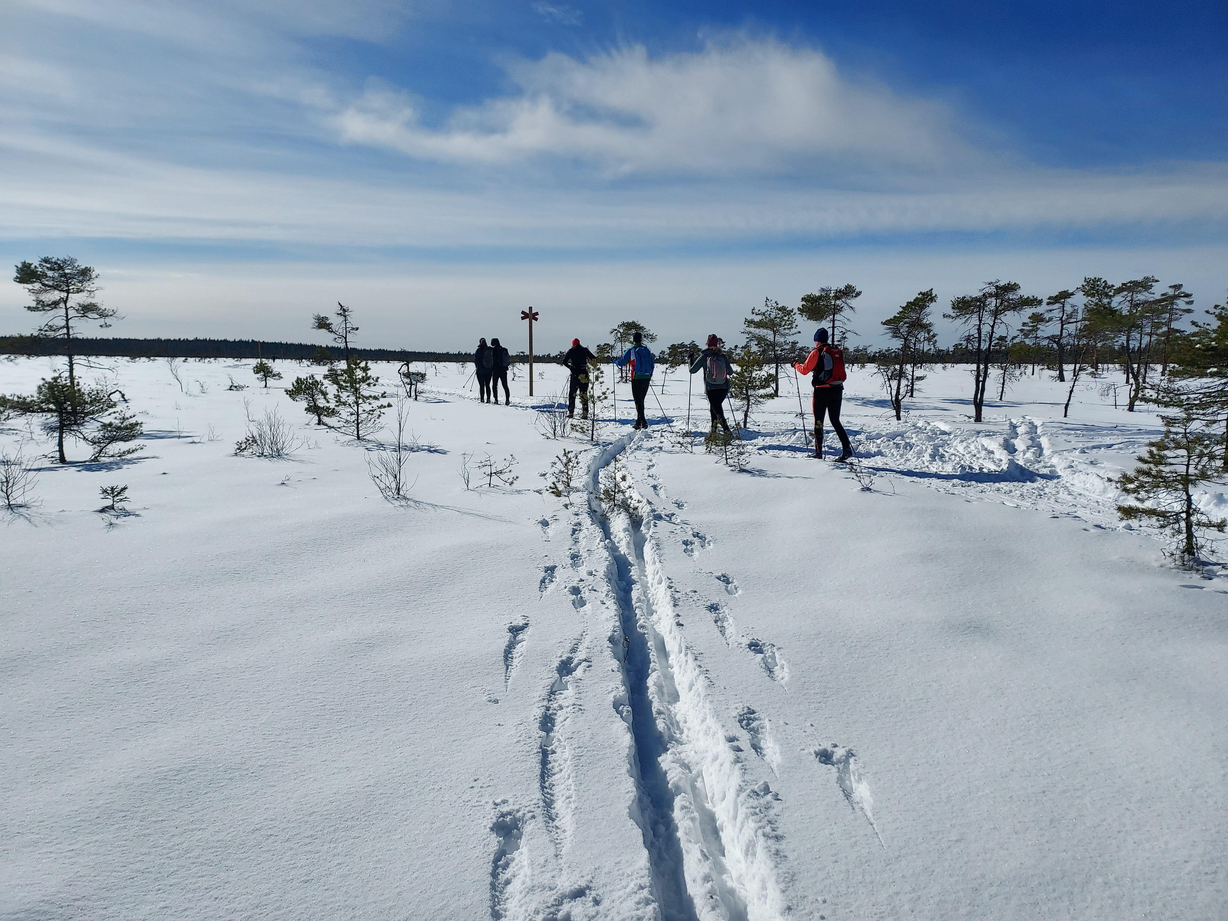 Bild som illustrerar 20230312 Bohestra Mosse