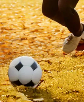 Bild som illustrerar Spelar Fotboll Utomhus I Höstlöv