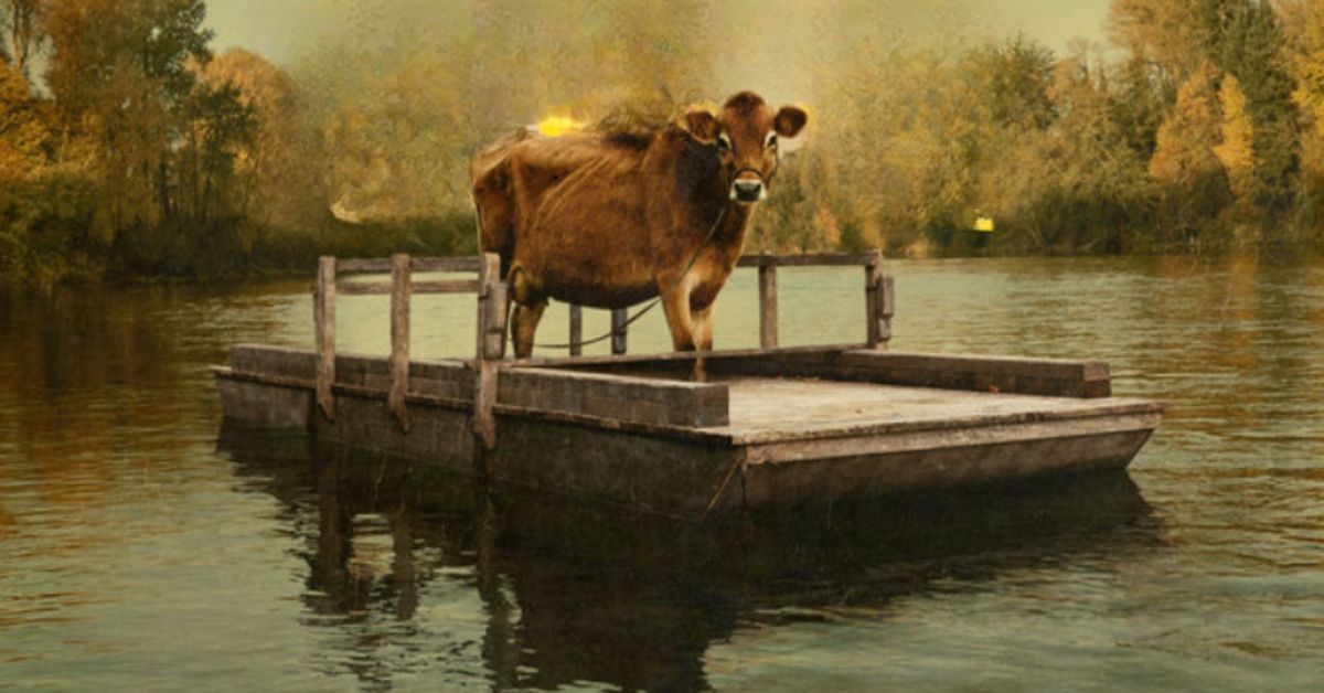 Bild som illustrerar First cow