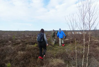 Hike with snowshoes at Anderstorp Stormosse