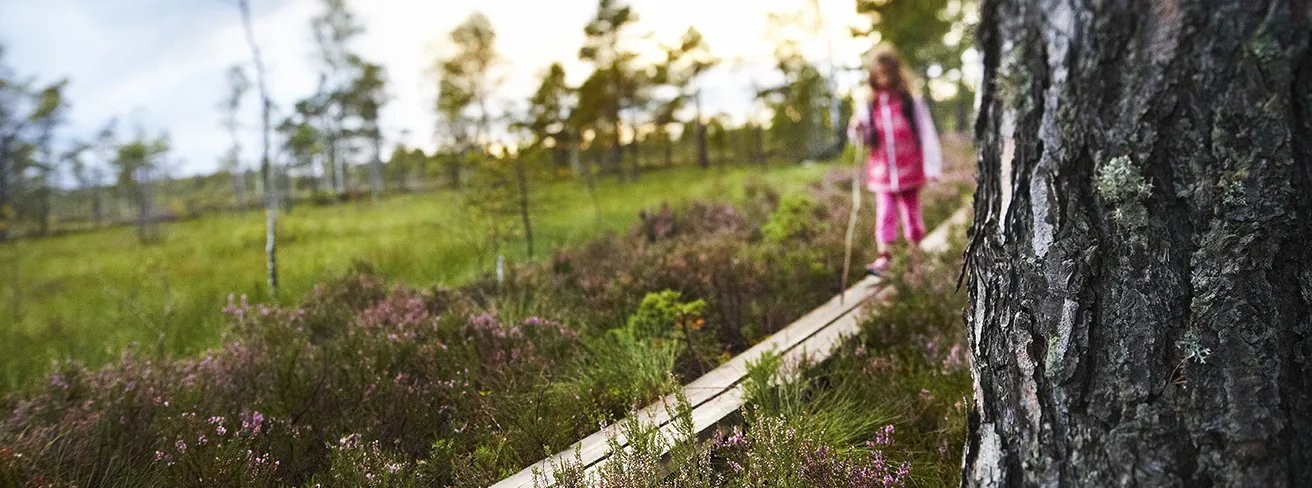 Nationalparken Store Mosse