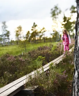 Nationalparken Store Mosse