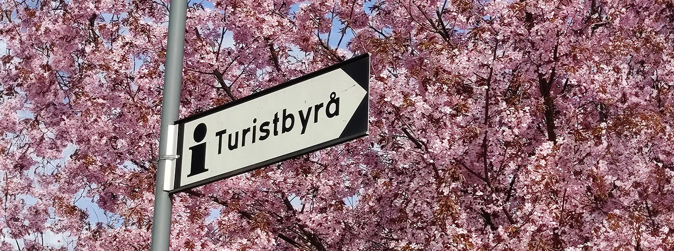 Image illustrating Turistbyra Skylt Med Blommor