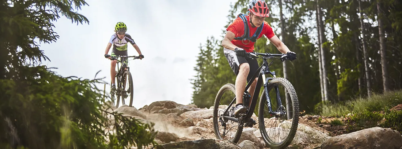 Bild som illustrerar Mountainbike