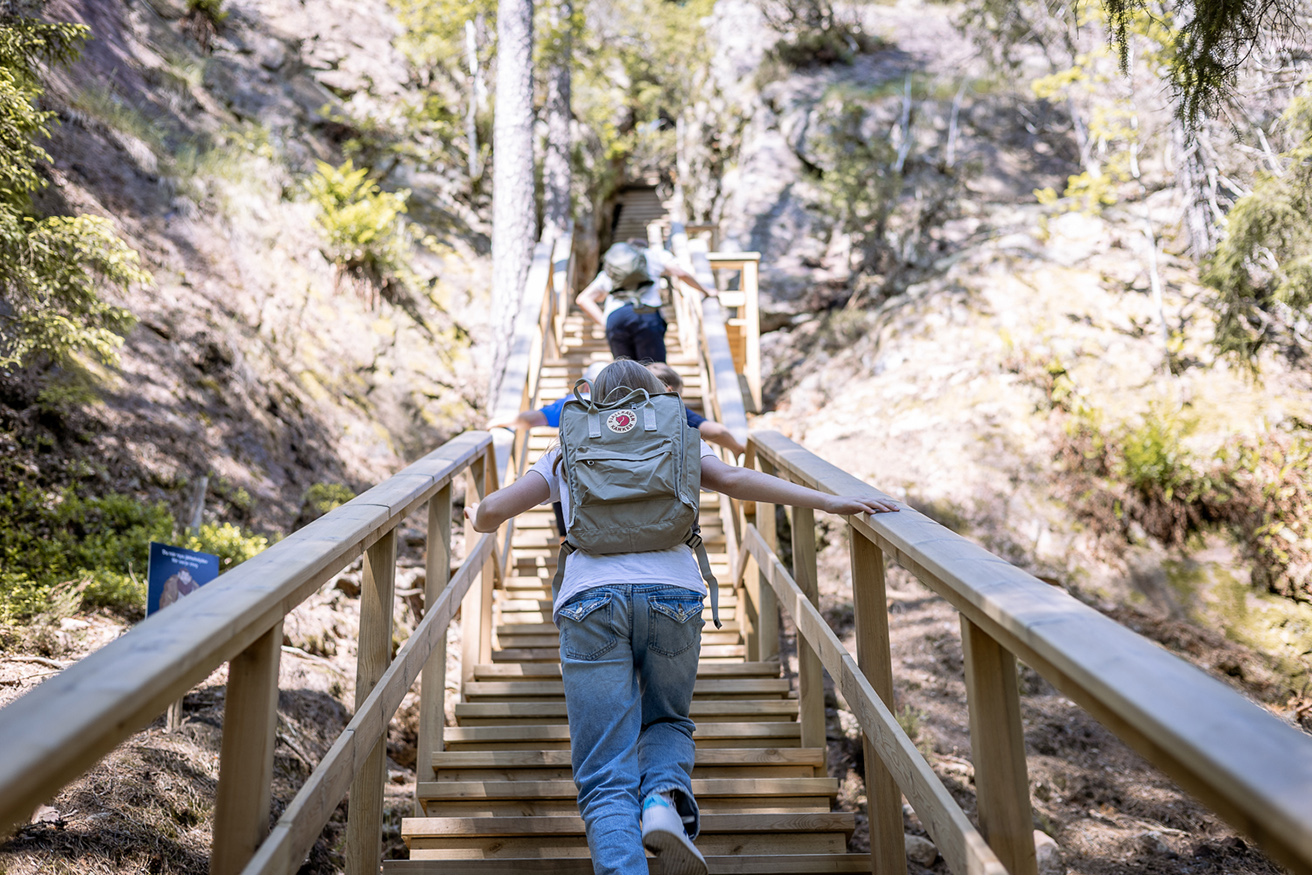 Image illustrating IMG 9117 Kopiera