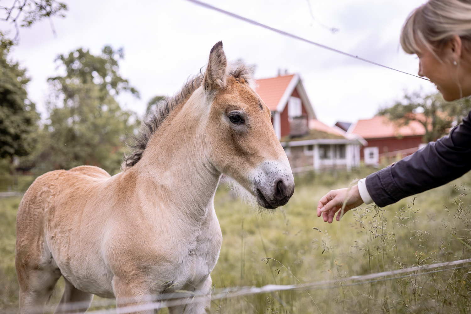 Gårdsrundan 19-20 sept
