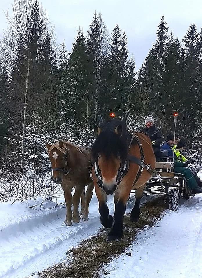 Bild som illustrerar Hästochvagn Vinter