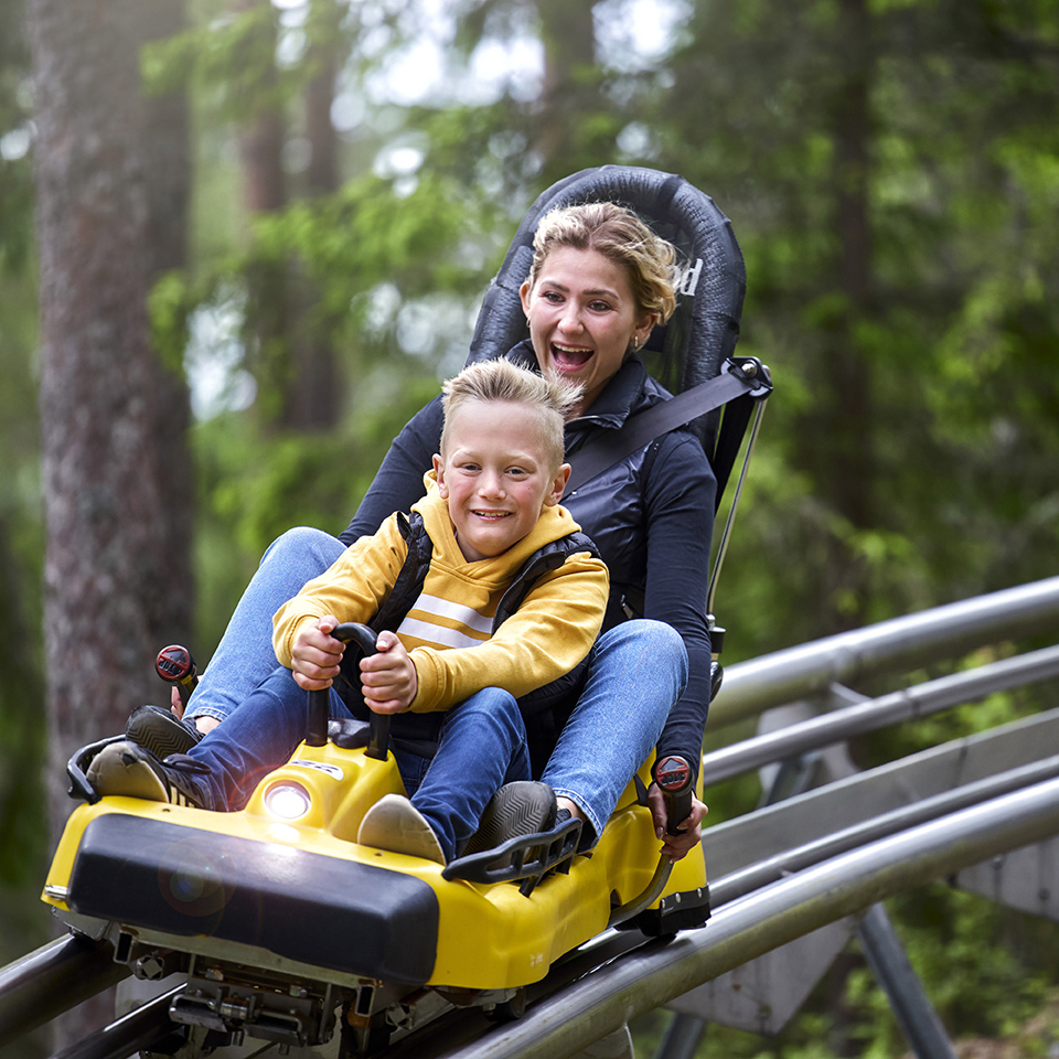 Bild som illustrerar Rodel Lågupplöst