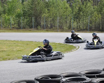 Image illustrating Gokart Scandinavian Kartway