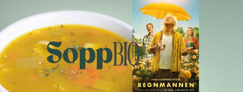 Bild som illustrerar Sopp-Bio på Torghuset, Regnmannen