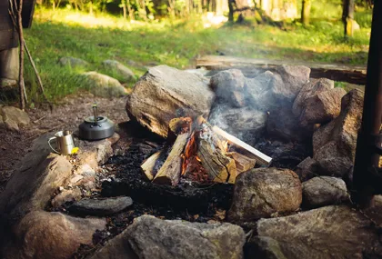 Summer tips for the nature lover