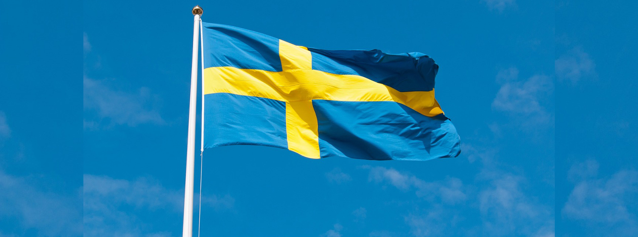 sveriges-nationaldag.jpg