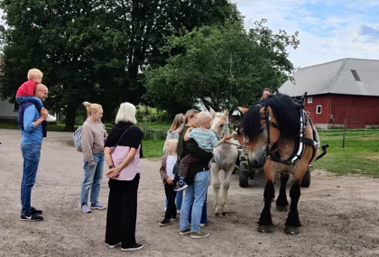 Horse and carriage