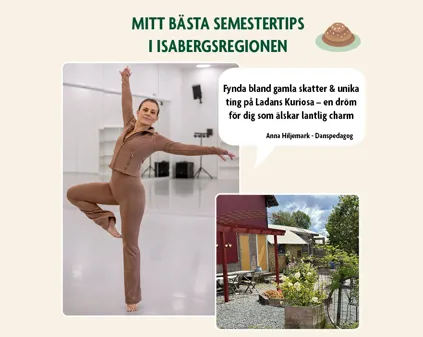 Bild som illustrerar Anna H