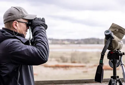 Pack the binoculars and look for birds