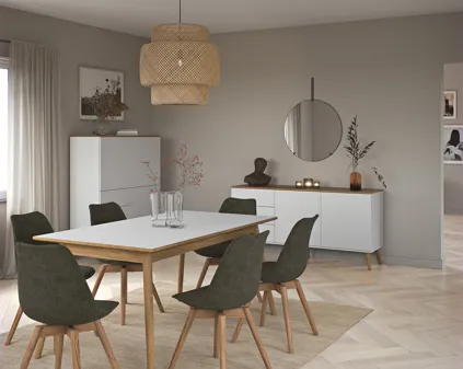 Bild som illustrerar Tenzo1