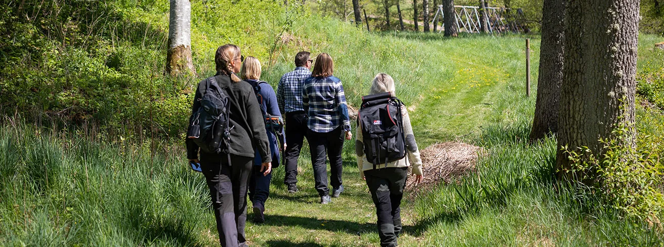 Bild som illustrerar Vandring Vår