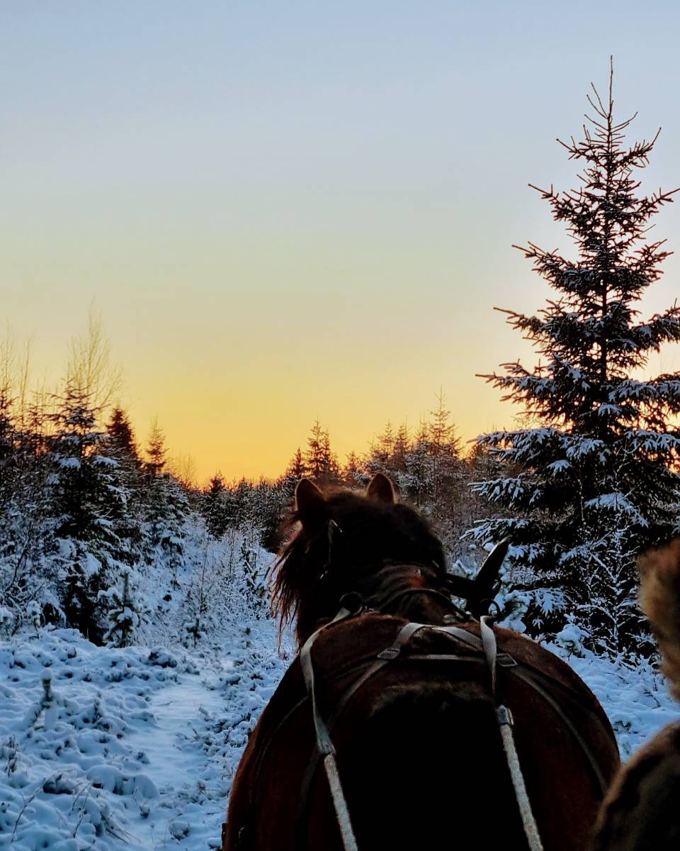 Bild som illustrerar 471915485 18476222266048165 5069064759618402578 N