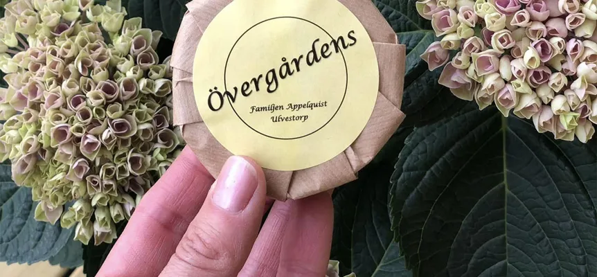 Bild som illustrerar Overgardens Tval 1