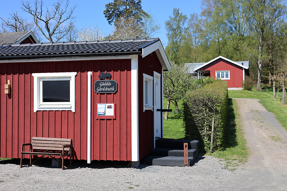 Image illustrating IMG 2669 Kopiera