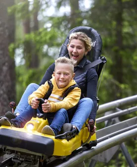 Bild som illustrerar Rodel