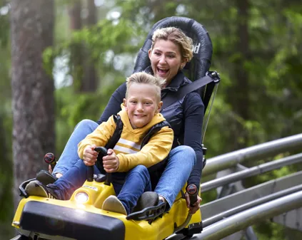 Bild som illustrerar Rodel