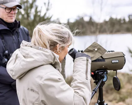 Bild som illustrerar Fågelskådning Rastadammarna (11)