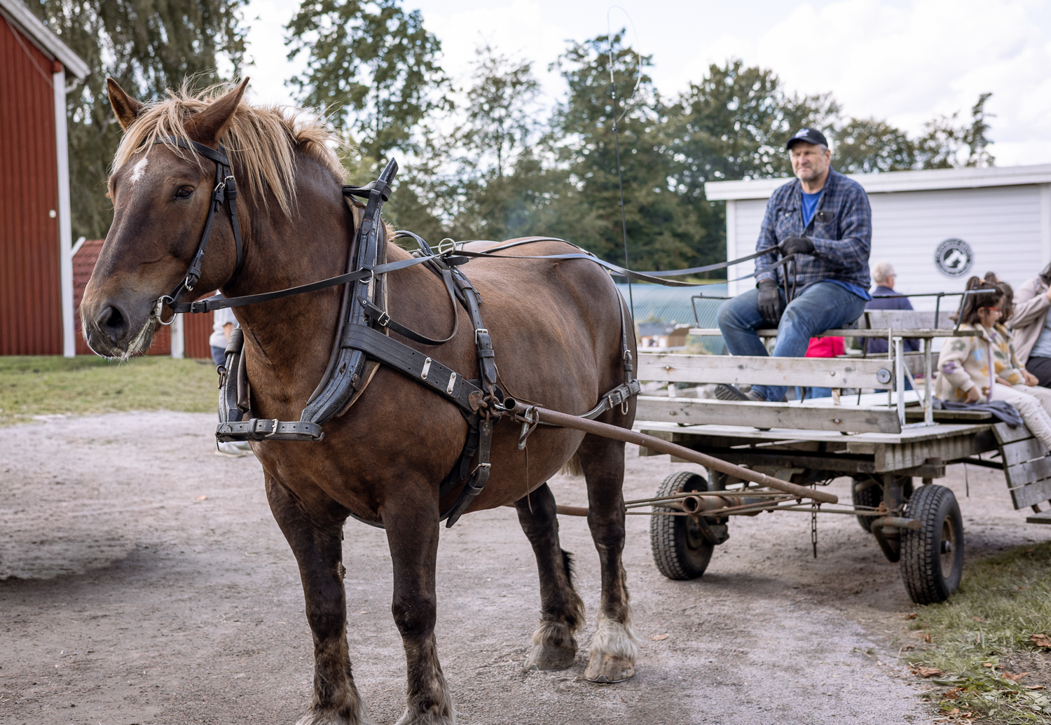 Image illustrating Gårdsrundan 2026