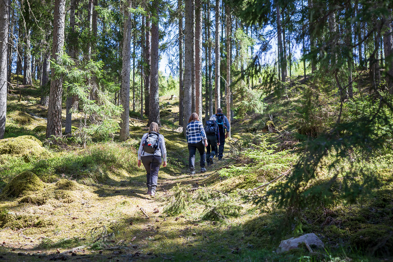Autumn hike in our forests and trails