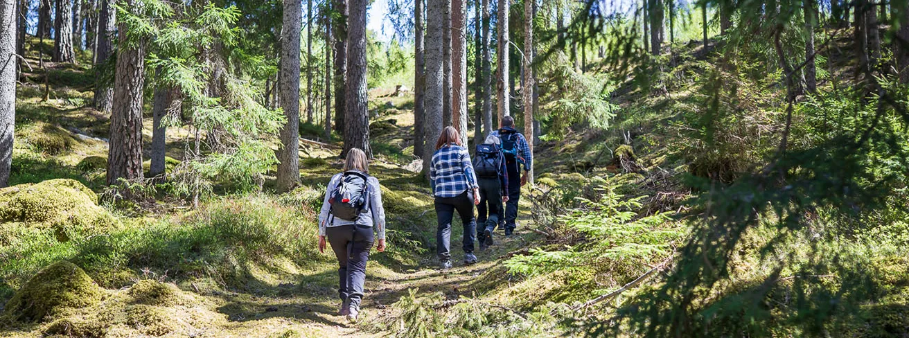 Bild som illustrerar Vandring CJ 142 Kopiera