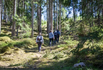 Hiking