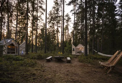 Njut av hösten färger i ett glashus omringad av skog