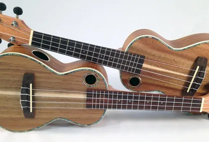 Bild som illustrerar Ukuleleuktetten