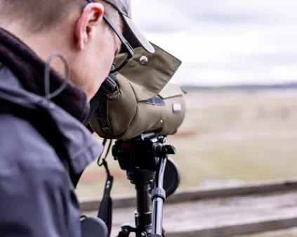 Bild som illustrerar Fågelskådning Vid Draven (47)