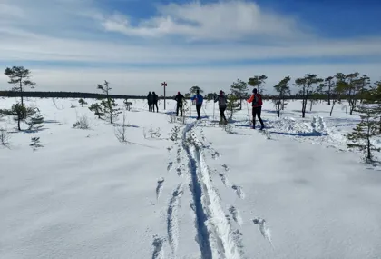 Bild som illustrerar Längdskidåkning