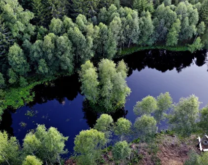 Bild som illustrerar Bönabo Stuga