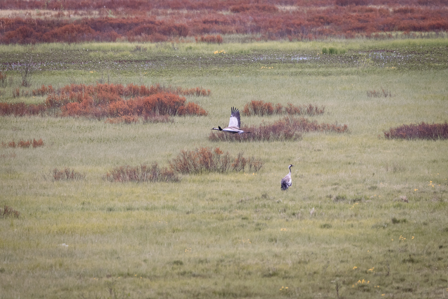 Bild som illustrerar Img 5904