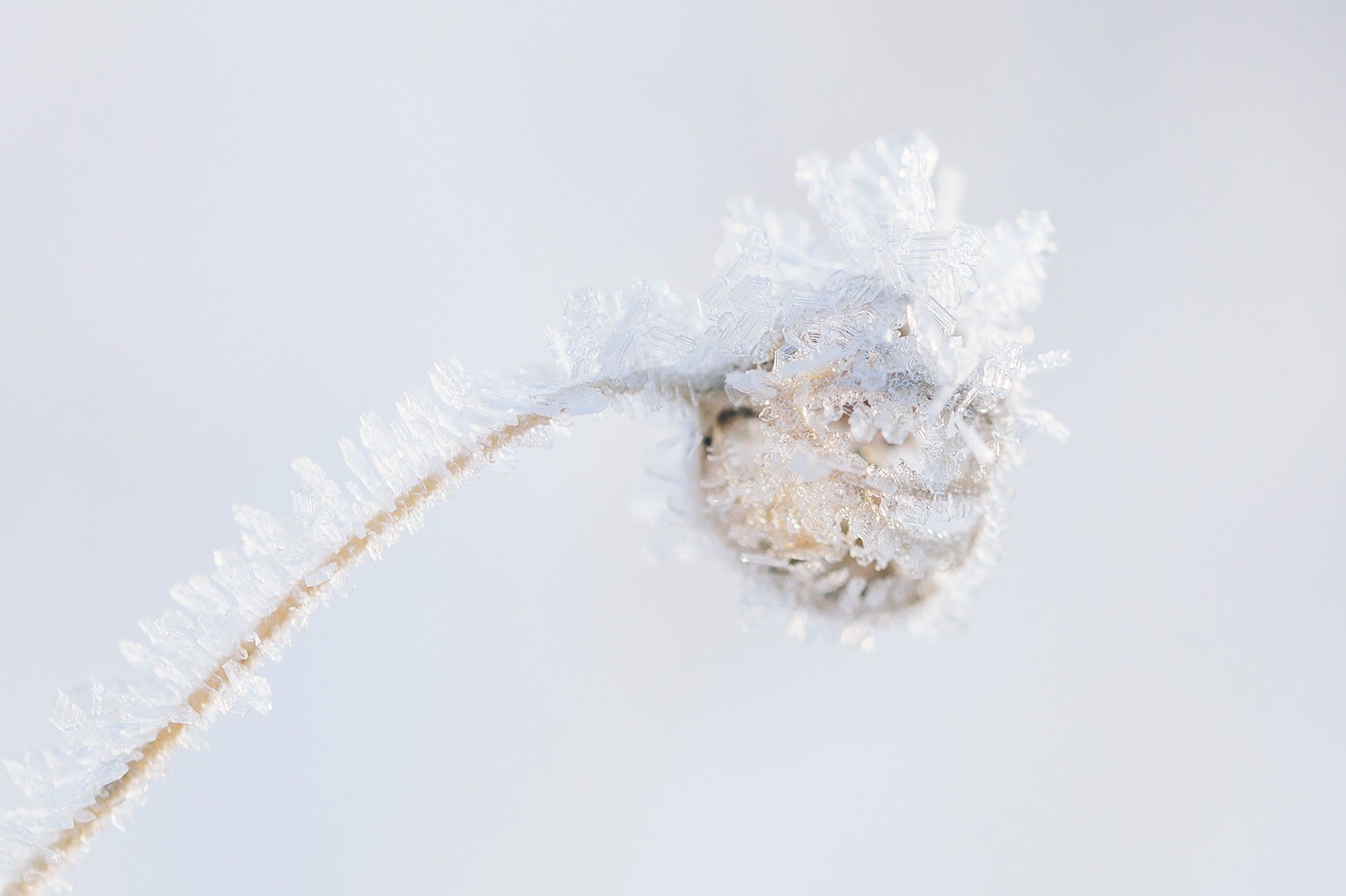 Bild som illustrerar Myslista för advent