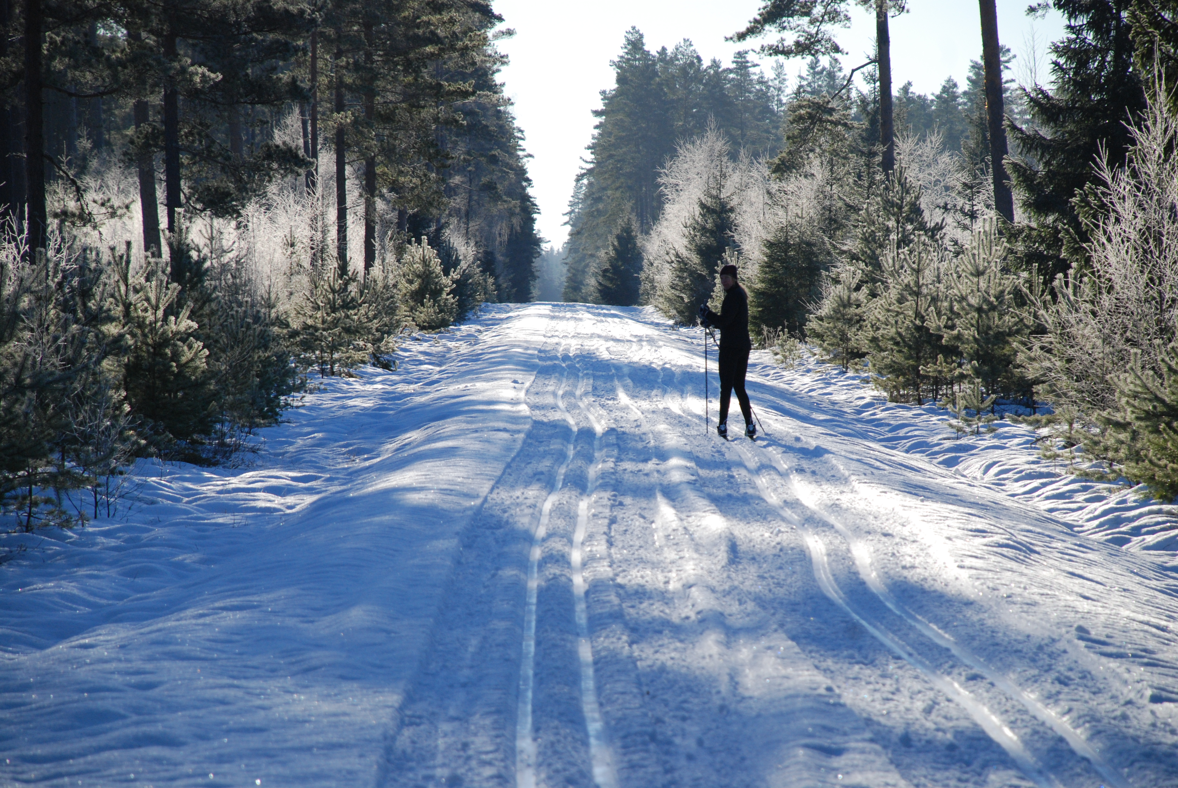 Bild som illustrerar Vinter Längdskidor (47)