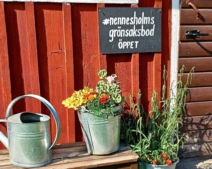 Bild som illustrerar Nennesholmsgrönsaksbod Ingång Foto Kim Svensen 20220721