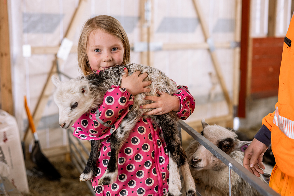 Bild som illustrerar IMG 2787 Kopiera