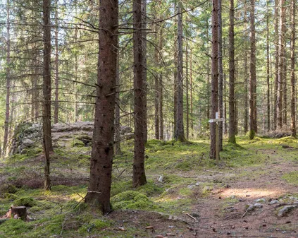 Tuskeboleden pottaskeugn