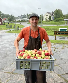 Bild som illustrerar Äppelmusteriet1